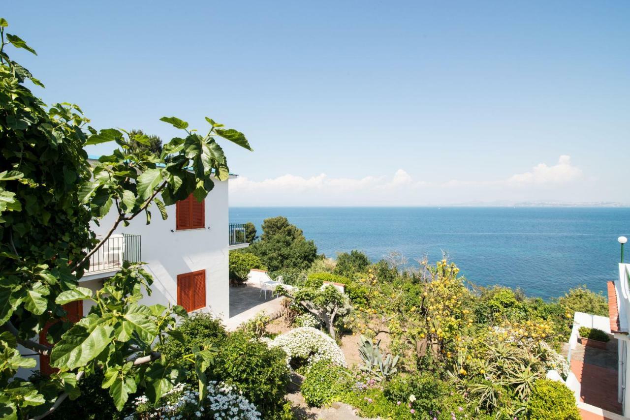 Hotel Bagnitiello Casamicciola Terme Esterno foto